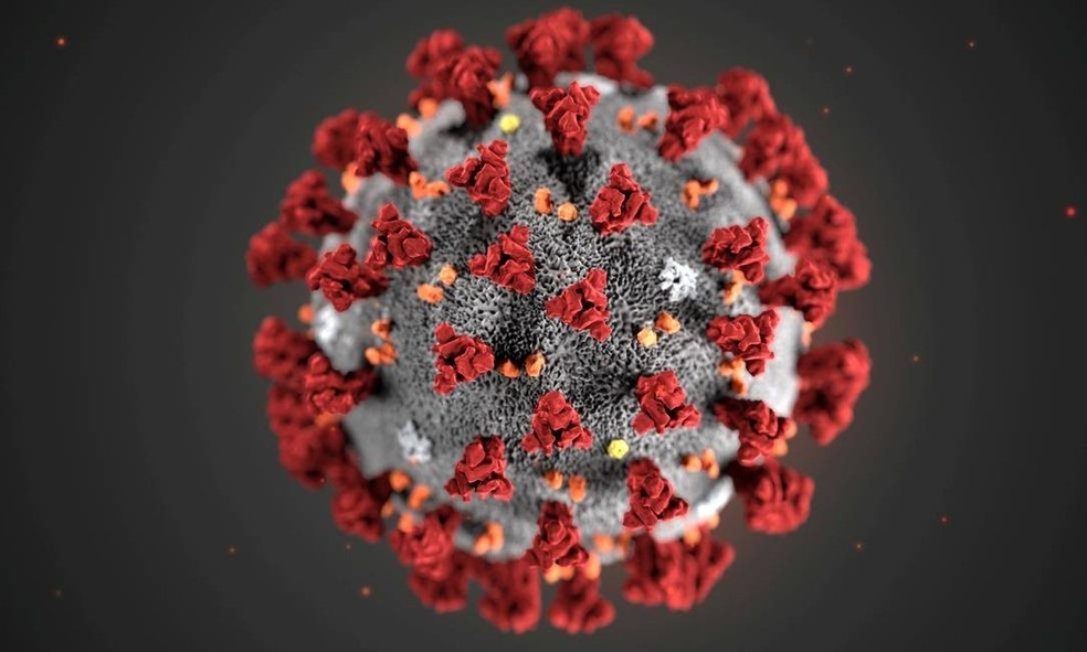 Cientistas alertam para aumento nas mortes por Covid-19 em SP nos últimos dias e possibilidade de pico de mortes virar 'platô'